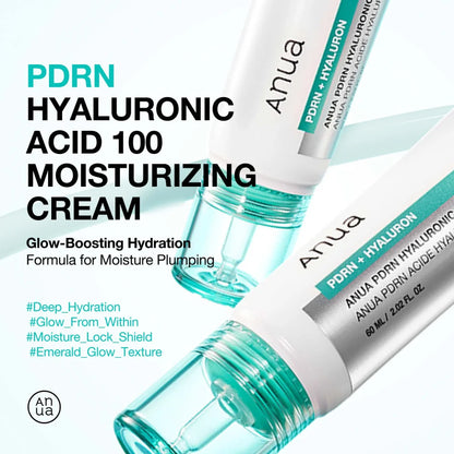 Anua PDRN Hyaluronic Acid 100+ Moisturizing Cream 60ml