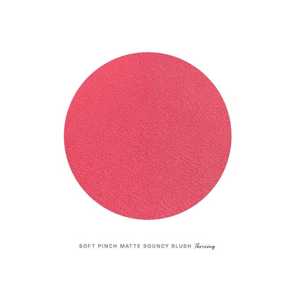 Rare Beauty Soft Pinch Matte Bouncy Blush