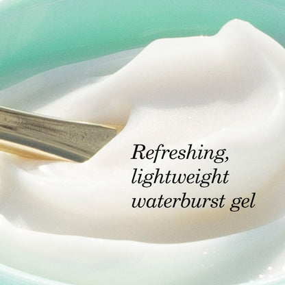Tatcha 
The Water Cream Oil-Free Pore Minimizing Moisturizer